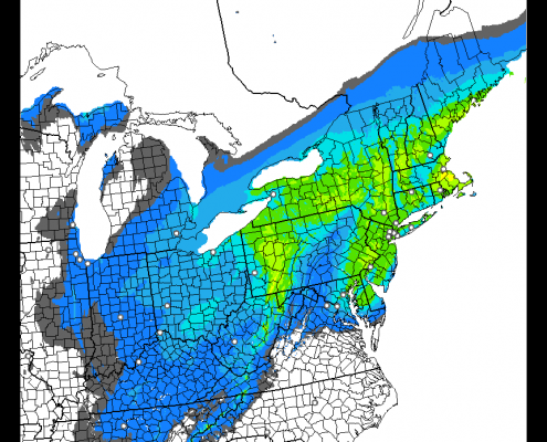 The latest HRRR model shows 3-5" of snow by 1:00am, with several more inches to come.