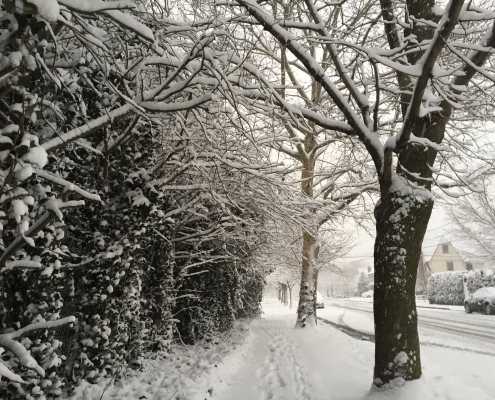 A snowy first day of Spring in Rockville Centre, NY (Doug Simonian). 