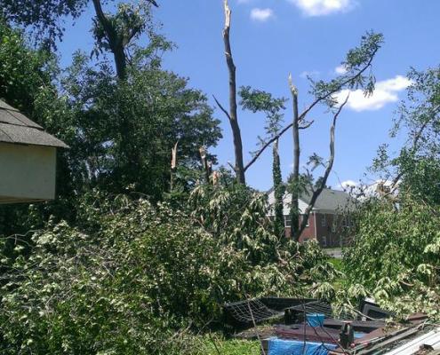 Widespread tree damage observed in Gloucester County, NJ. (Gary Szatkowski of the National Weather Service in Mt. Holly, NY @Gary Szatkowski)