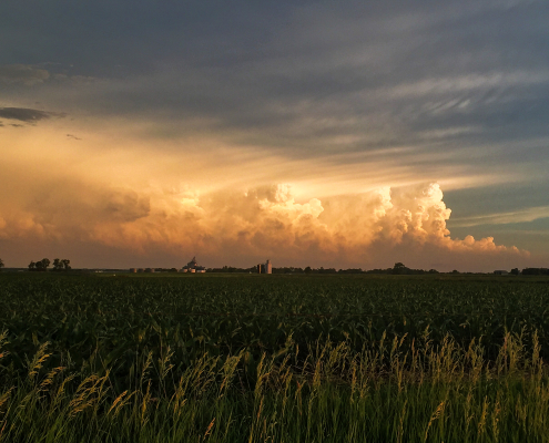 Developing thunderstorms complex near Leigh, NE on 6/17/2017